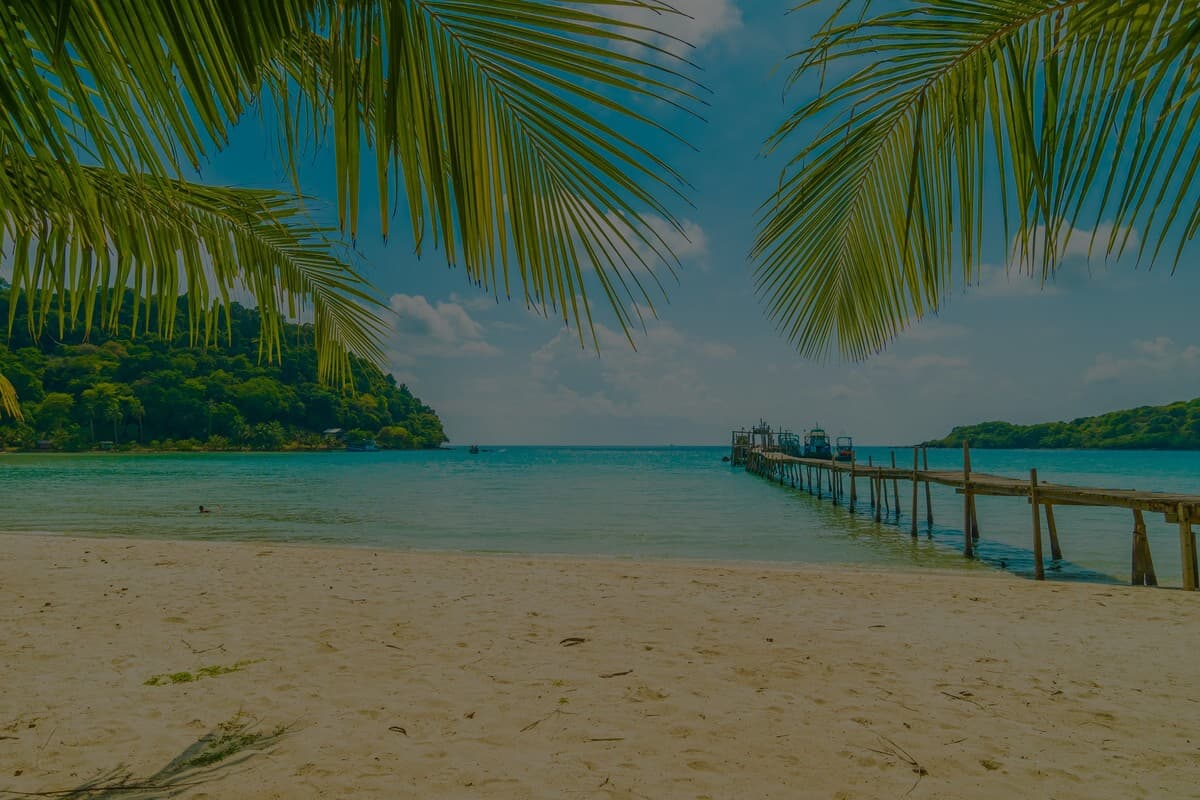 tropical beach