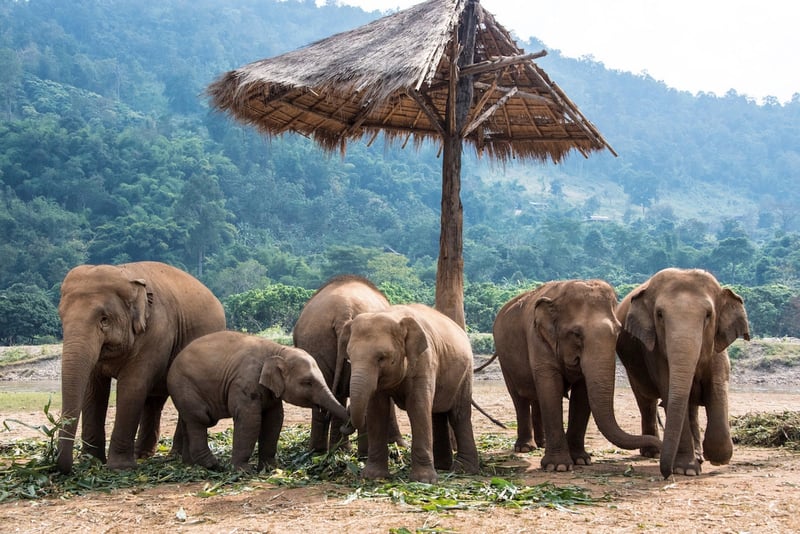 10 Days in Thailand – First-Time Visitor image 2