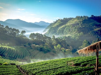 pai a tapestry of cultures
